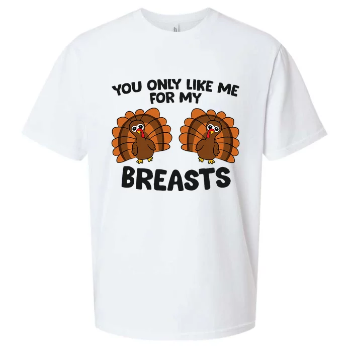 Thanksgiving You Only Like Me For My Breasts Turkey Sueded Cloud Jersey T-Shirt