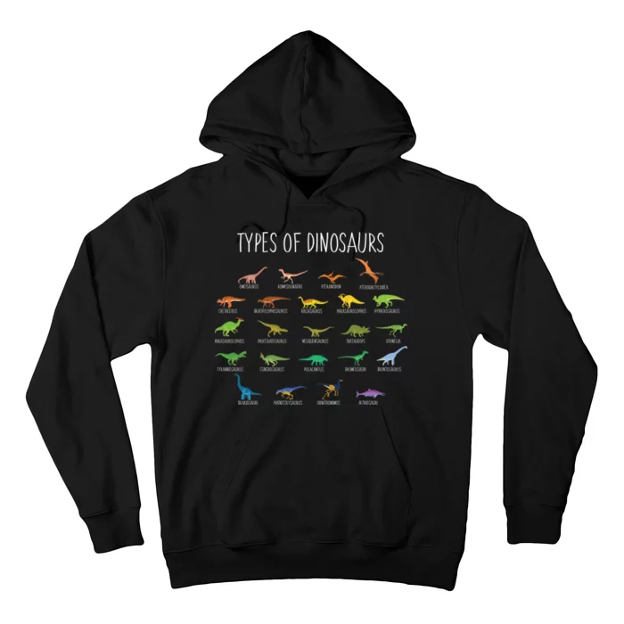 Types of Dinosaurs Hoodie