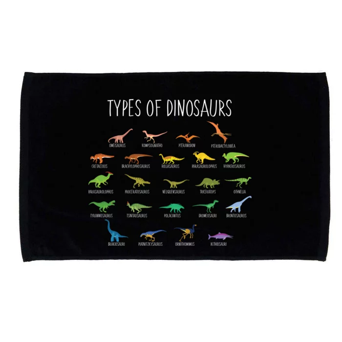 Types of Dinosaurs Microfiber Hand Towel