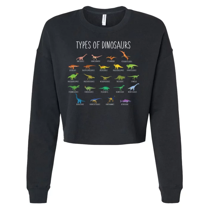 Types of Dinosaurs Cropped Pullover Crew