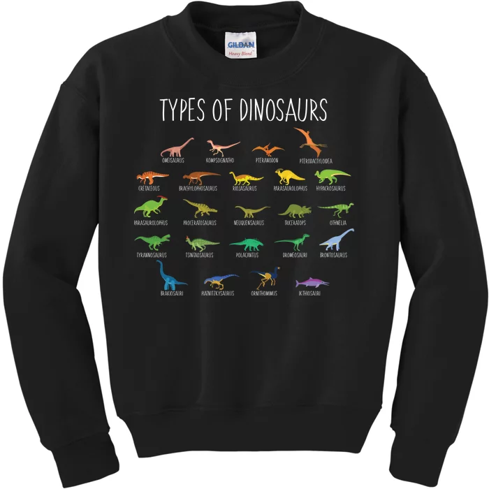 Types of Dinosaurs Kids Sweatshirt