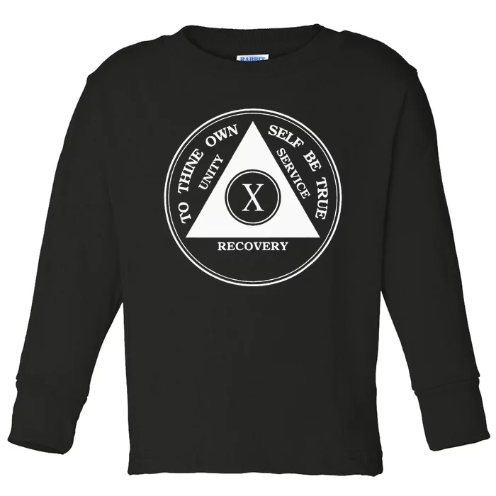 Ten Years Sober 10 Years Aa Sobriety Toddler Long Sleeve Shirt