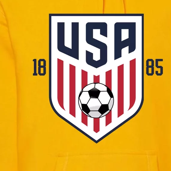 USA 1885 Soccer Tournament Premium Hoodie