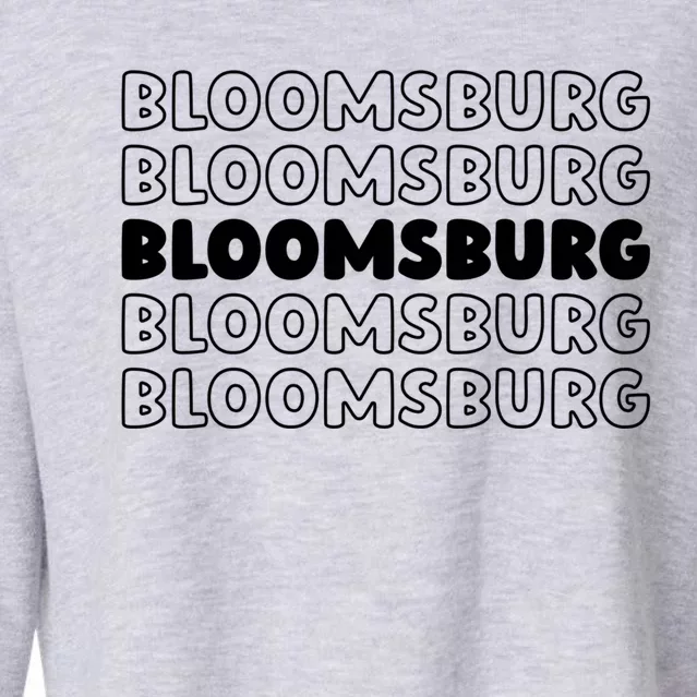 Us American City Usa Resident Pennsylvania Bloomsburg Gift Cropped Pullover Crew