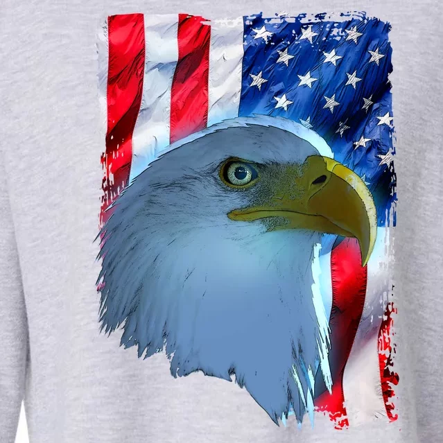 USA American Flag Eagle Distressed Style Cropped Pullover Crew