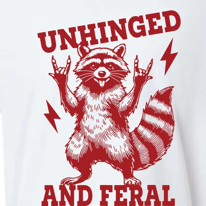 Unhinged And Feral Raccoon Sueded Cloud Jersey T-Shirt