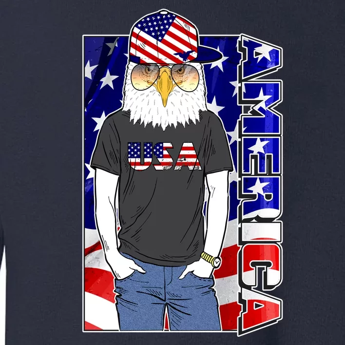 USA America Flag Hip Hop Eagle Toddler Sweatshirt