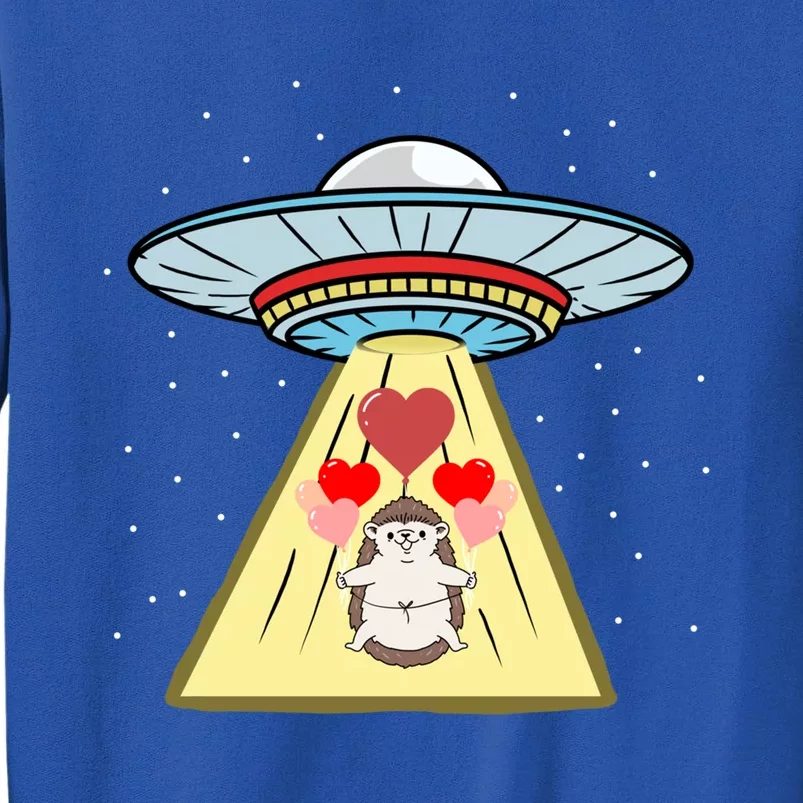 Ufo Abduction Hedgehog Valentines Day Great Gift Tall Sweatshirt