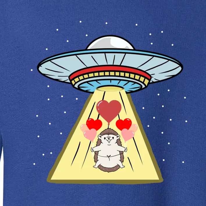 Ufo Abduction Hedgehog Valentines Day Great Gift Toddler Sweatshirt