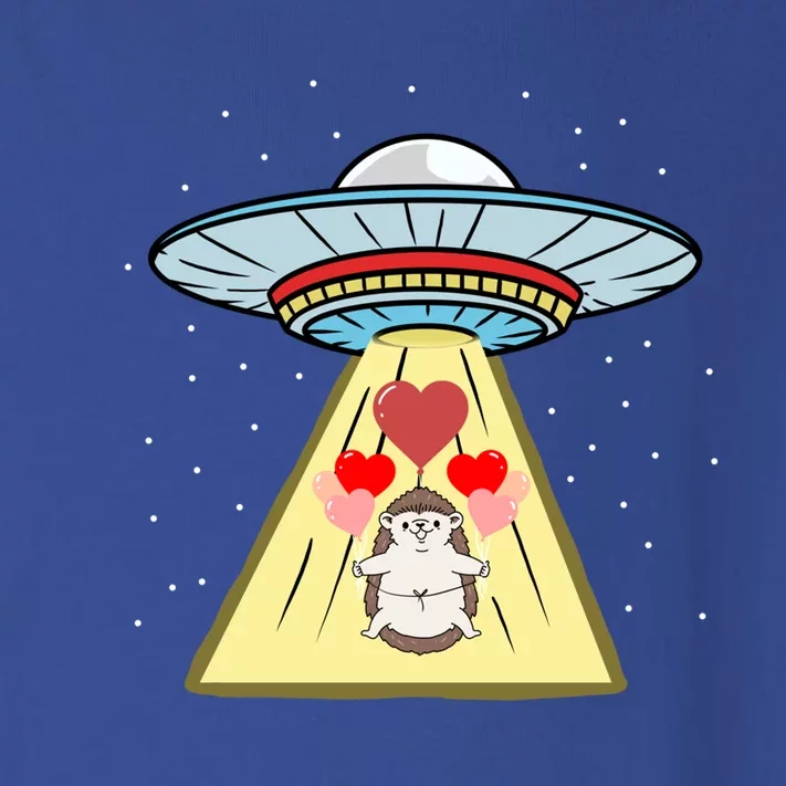 Ufo Abduction Hedgehog Valentines Day Great Gift Toddler Long Sleeve Shirt