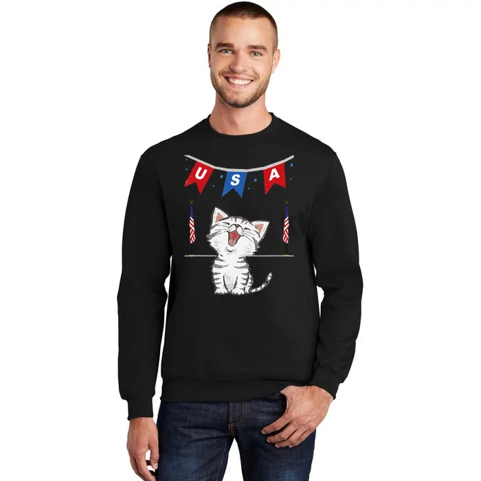 USA Cat American Flag Sweatshirt