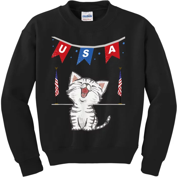 USA, Cat, American, Flag, Kids Sweatshirt