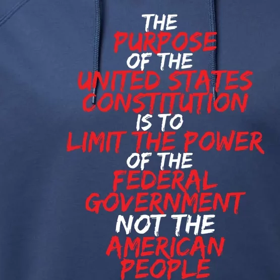 US Constitution Gift Constitution Clarification Performance Fleece Hoodie