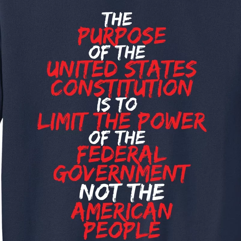 US Constitution Gift Constitution Clarification Sweatshirt