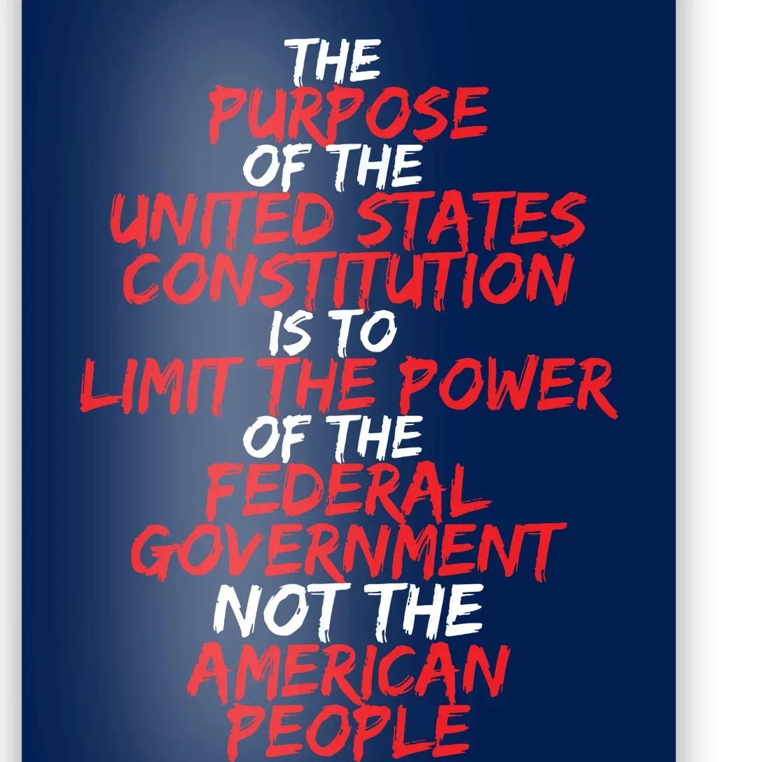 US Constitution Gift Constitution Clarification Poster