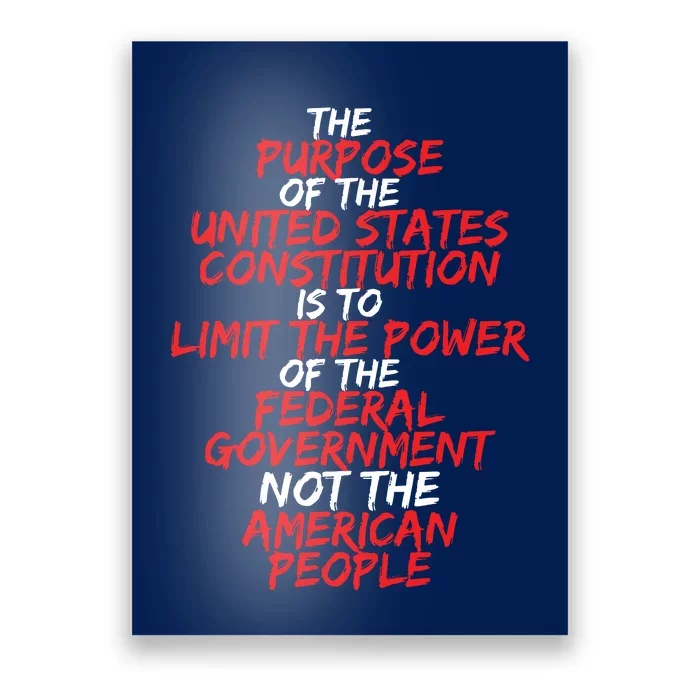 US Constitution Gift Constitution Clarification Poster