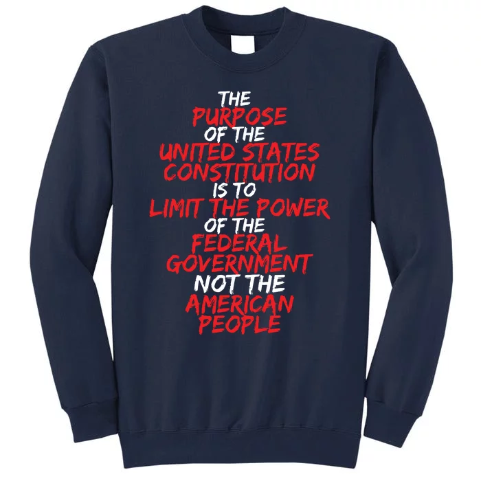 US Constitution Gift Constitution Clarification Tall Sweatshirt