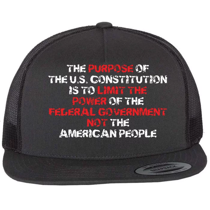 US Constitution Gift Constitution Clarification Pro 2A Flat Bill Trucker Hat