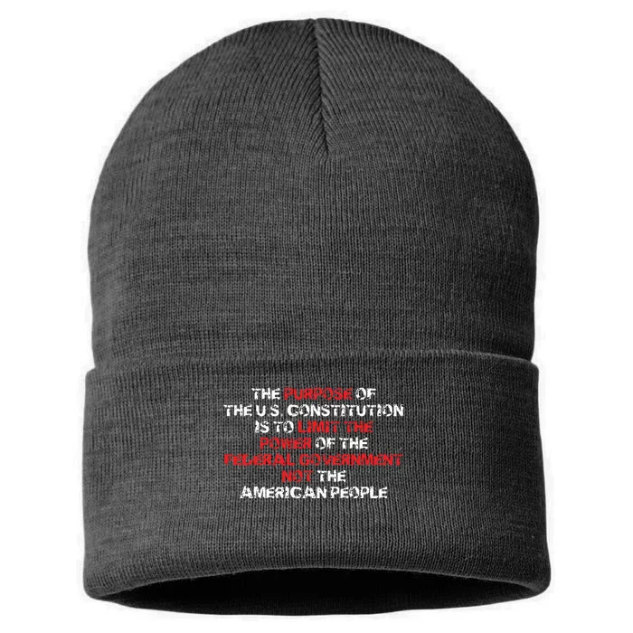 US Constitution Gift Constitution Clarification Pro 2A Sustainable Knit Beanie