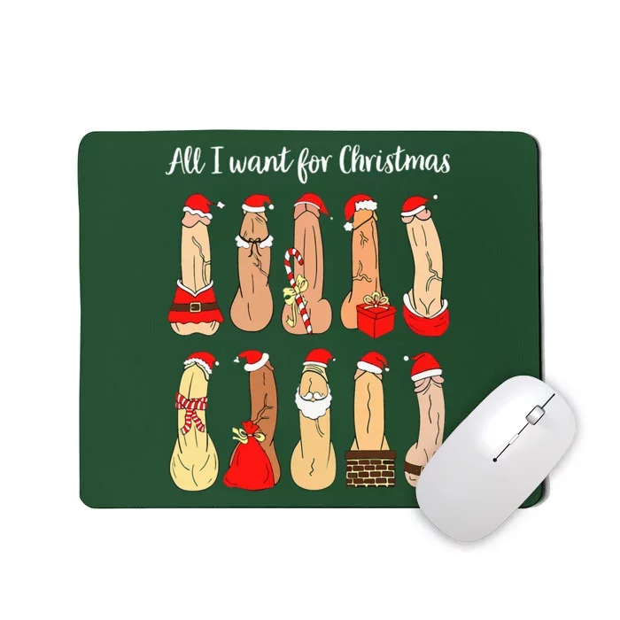 Ugly Christmas Naughty Santa Dirty Christmas Mousepad