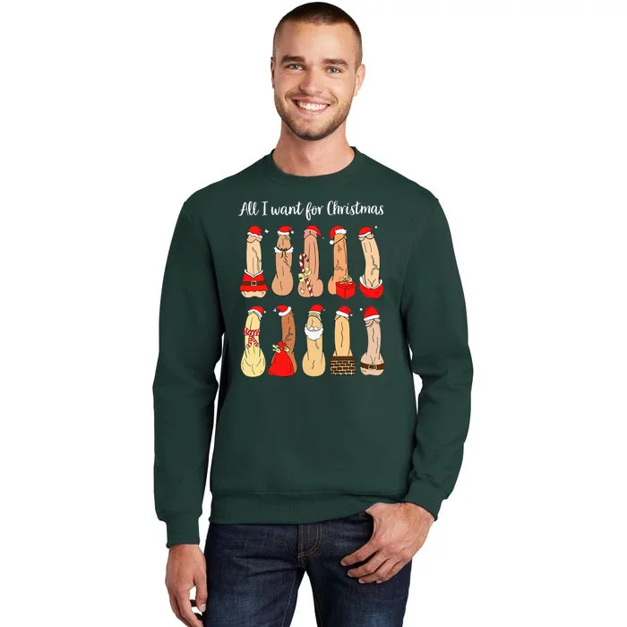 Ugly Christmas Naughty Santa Dirty Christmas Tall Sweatshirt