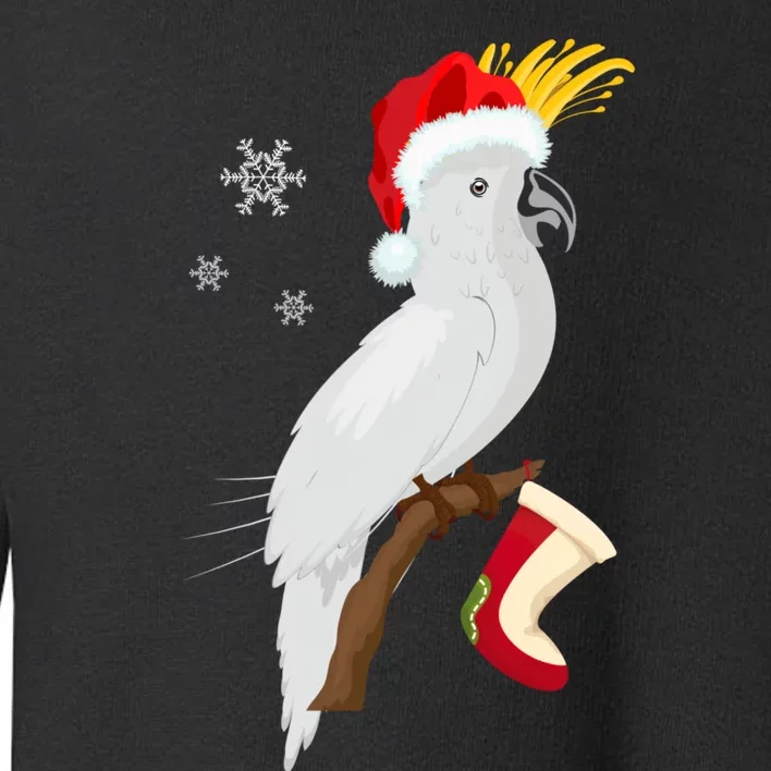 Umbrella Cockatoo Santa Hat Funny Christmas Toddler Sweatshirt