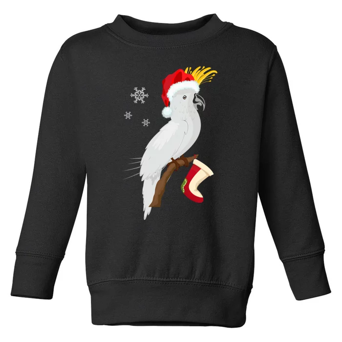 Umbrella Cockatoo Santa Hat Funny Christmas Toddler Sweatshirt