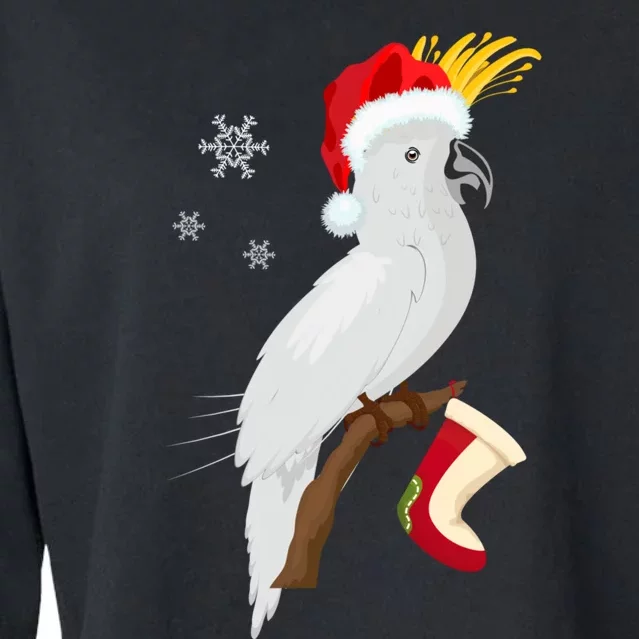 Umbrella Cockatoo Santa Hat Funny Christmas Cropped Pullover Crew