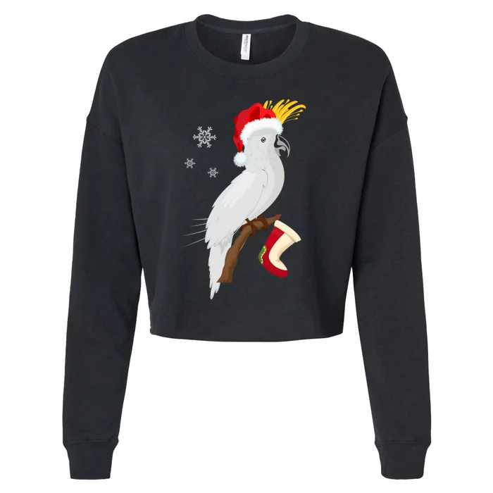 Umbrella Cockatoo Santa Hat Funny Christmas Cropped Pullover Crew