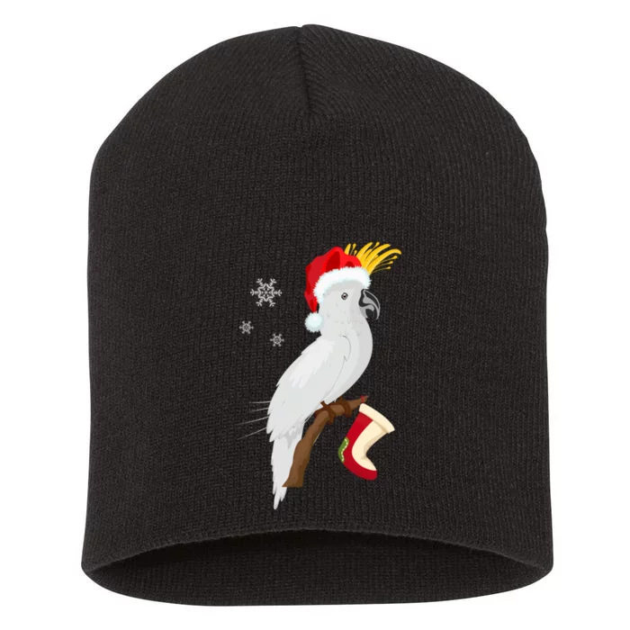 Umbrella Cockatoo Santa Hat Funny Christmas Short Acrylic Beanie