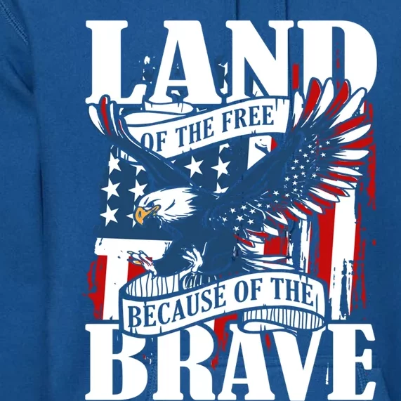 Us Flag America Eagle Land Of The Free Because Of The Brave Great Gift Premium Hoodie