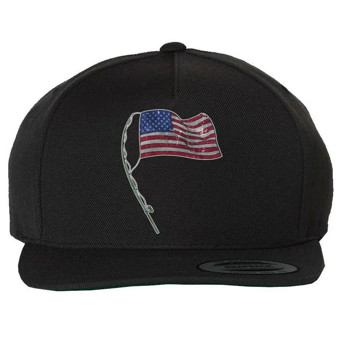 Usa Flag Fishing Sea Bass Fisher 4th Of July Gift Wool Snapback Cap