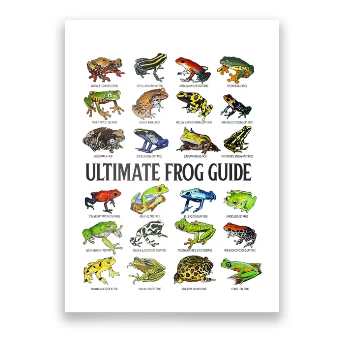 Ultimate Frog Guide Funny Frog Lover Species Guide Poster