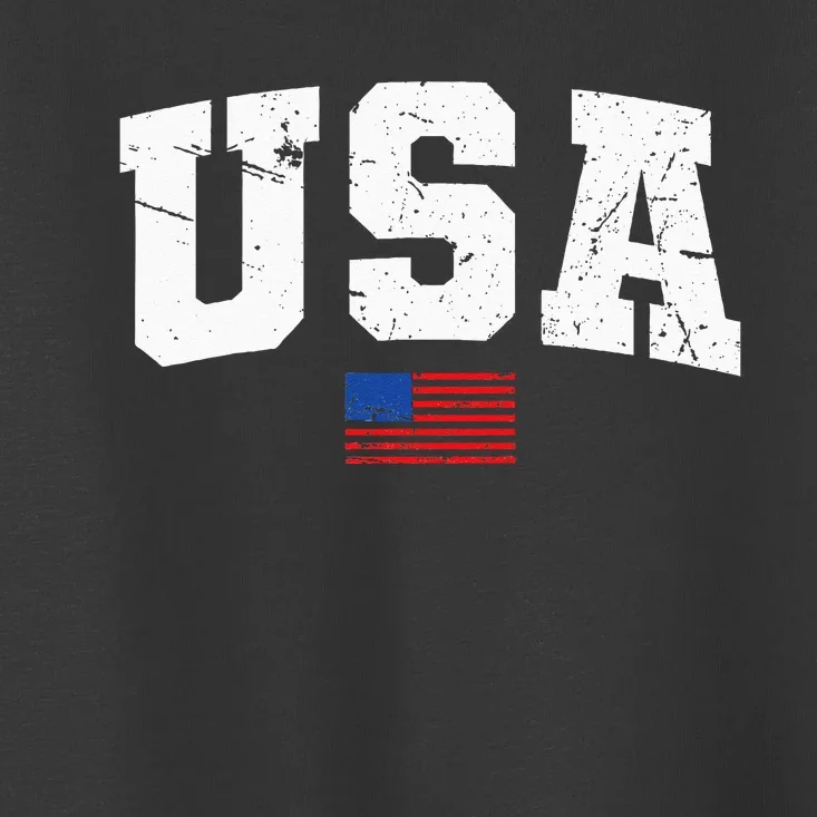 USA Flag Patriotic 4th Of July America Day Of Independence Toddler T-Shirt