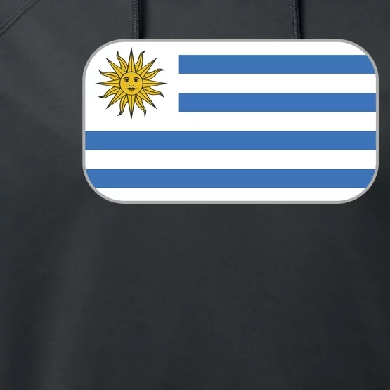 Uruguay Flag Soccer Team World Cup 2022 Performance Fleece Hoodie