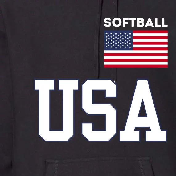 Usa Flag Softball Pocket Team Jersey Gift Premium Hoodie