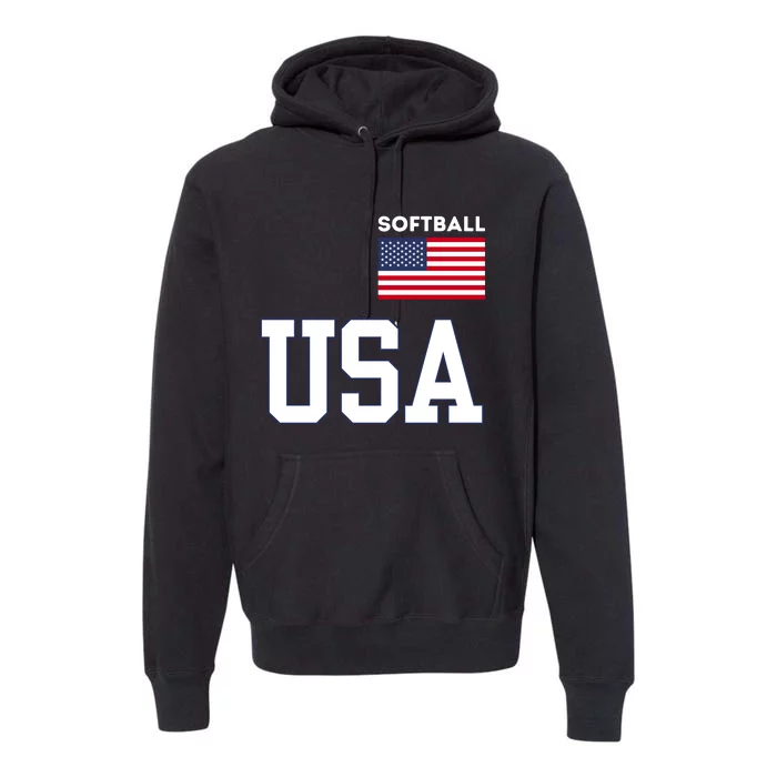 Usa Flag Softball Pocket Team Jersey Gift Premium Hoodie