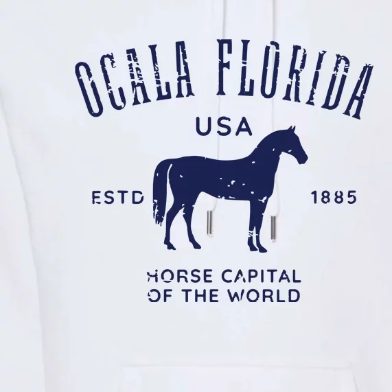 USA Horse Capital Distressed Equestrian Design Premium Hoodie