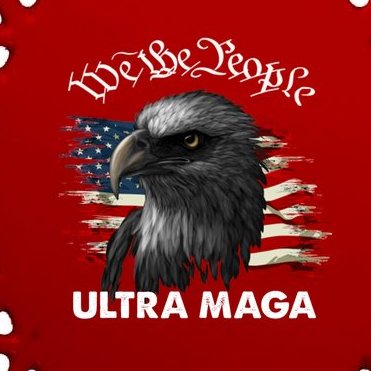 Ultra MAGA American Flag We The People Eagle 2 Oval Ornament