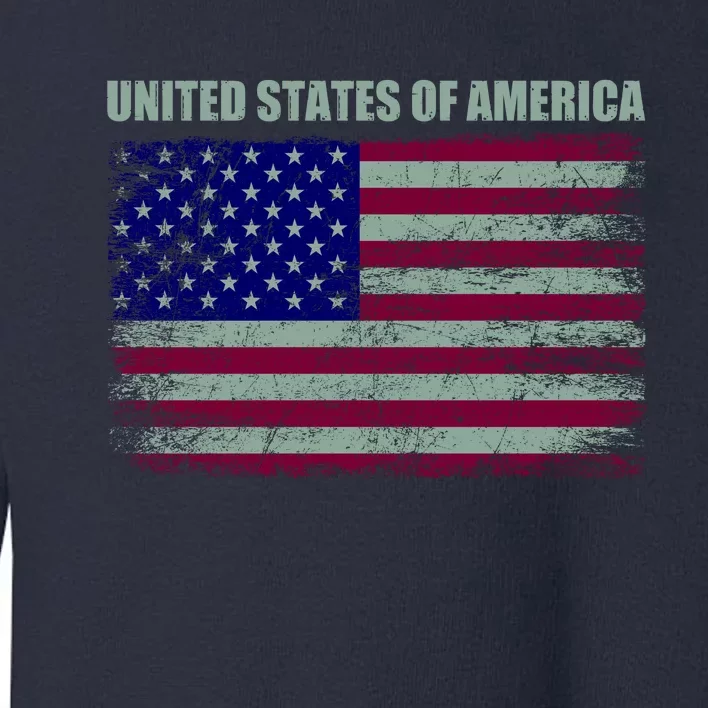 United States Of America Toddler Sweatshirt