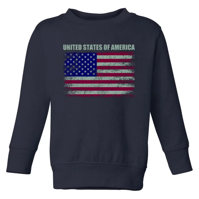 United States Of America Toddler Sweatshirt