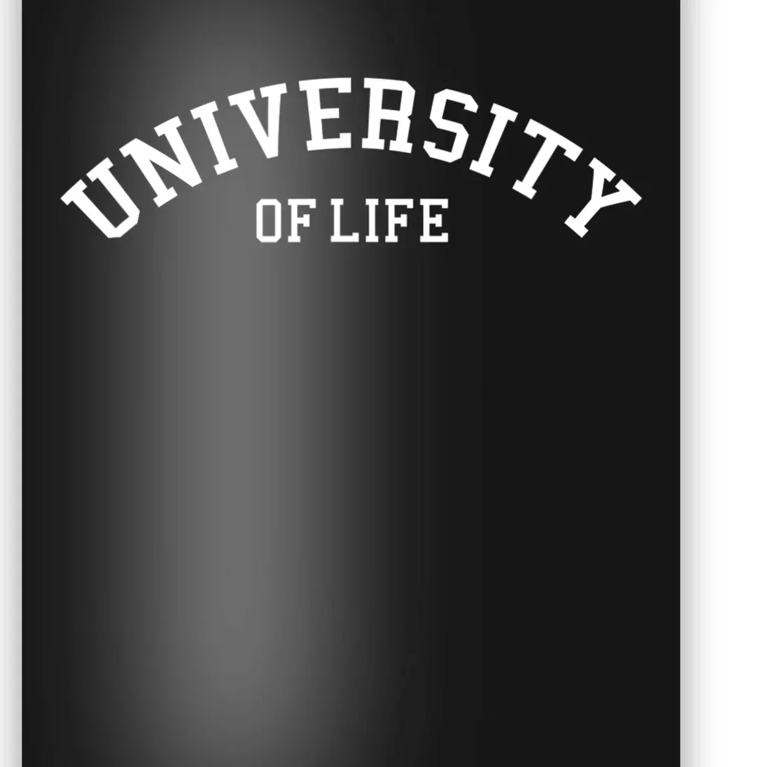 University Of Life Funny College Graduate Poster