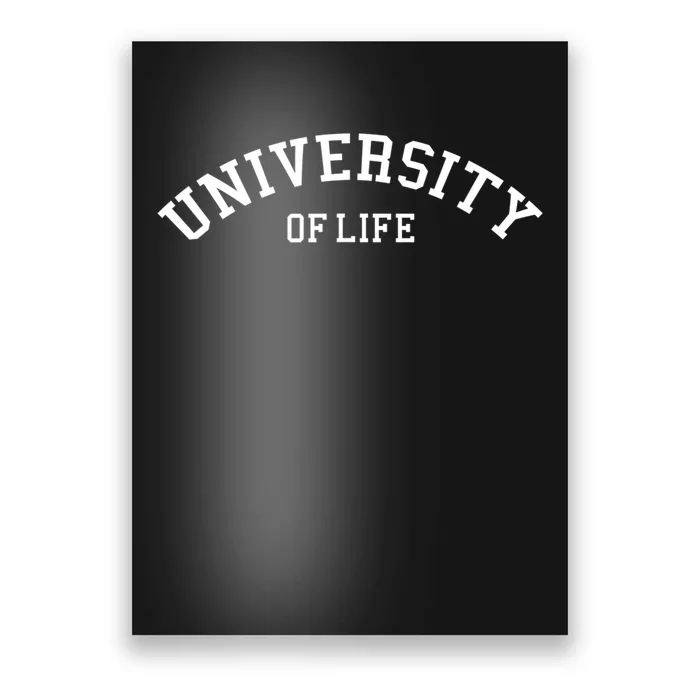 University Of Life Funny College Graduate Poster