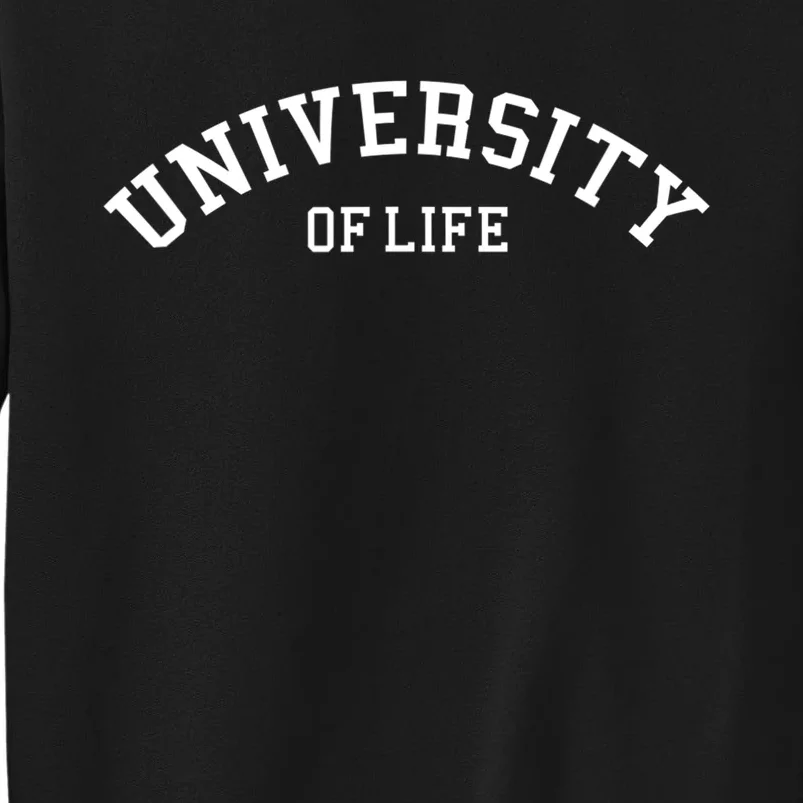 University Of Life Funny College Graduate Tall Sweatshirt