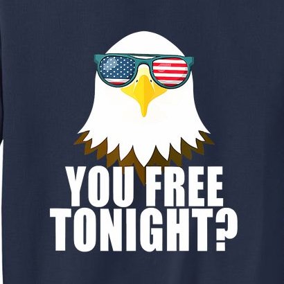 USA Patriotic American Funny Eagle 4th Of July Sweatshirt