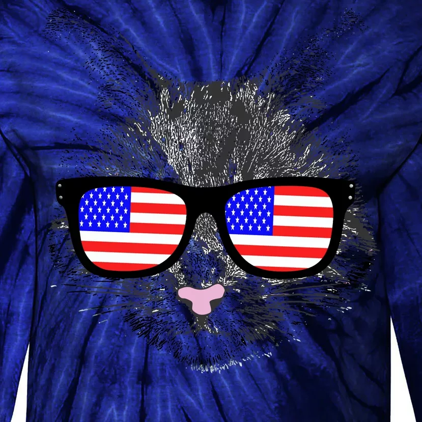 USA Cat Wearing American Flag Glasses Tie-Dye Long Sleeve Shirt