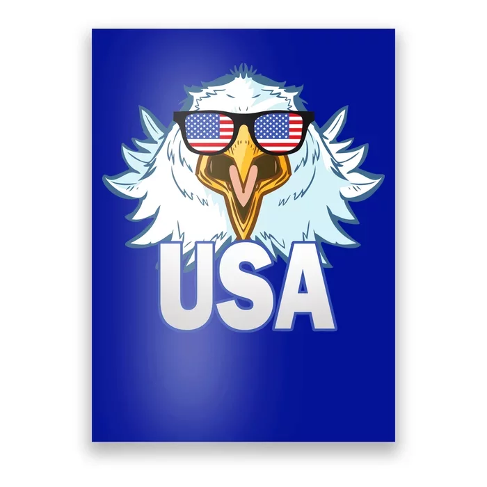 USA Eagle Poster