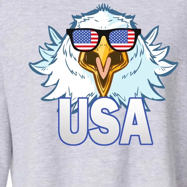 USA Eagle & Shield Cropped Pullover Crew