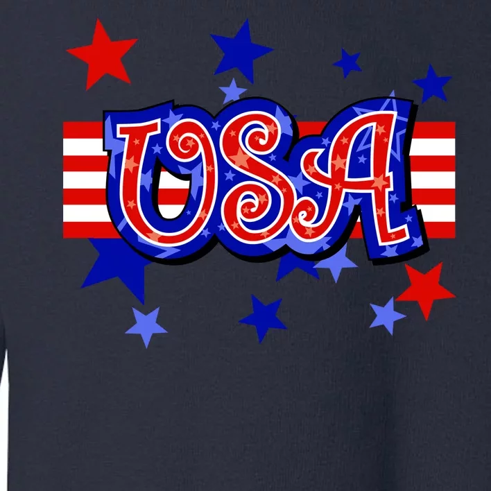 USA Festive Celebration Toddler Sweatshirt