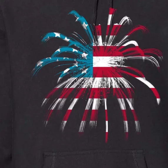 Usa Firework 4th Of July Premium Hoodie